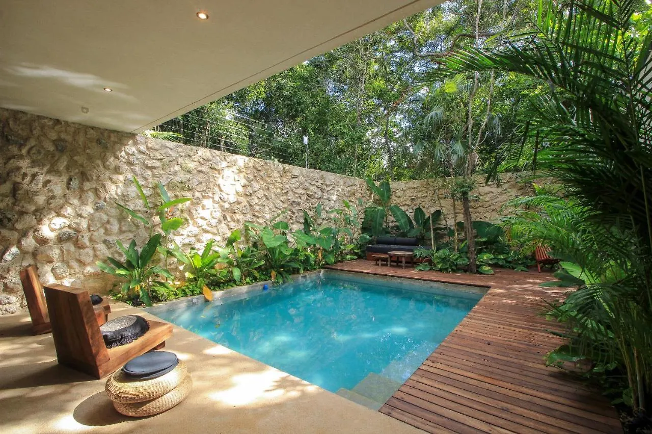 Elegant Boho Style Villa Jungle Views In Rooftop Deck & Outstanding Raw Pool In Holistika Tulum Meksika